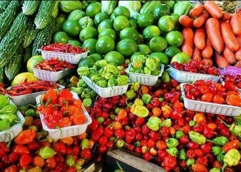 Nigeria’s Food Import Bill Hits ₦3.30tn as Rice Prices Ease but Wheat Costs Stay High