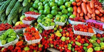 Nigeria’s Food Import Bill Hits ₦3.30tn as Rice Prices Ease but Wheat Costs Stay High