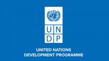 UNDP Urges Nigeria to Tie Climate Targets to Budgets as $337bn Funding Need Emerges