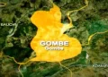 Gombe community gets 1MW solar power after more than 15 years without electricity