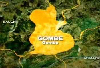 Gombe community gets 1MW solar power after more than 15 years without electricity
