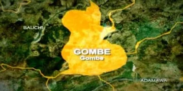 Gombe community gets 1MW solar power after more than 15 years without electricity
