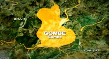 Gombe community gets 1MW solar power after more than 15 years without electricity