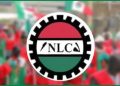 NLC Mobilises for Possible Nationwide Strike as FG Talks Stall