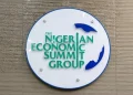 States must compete for private investment, NESG tells governors