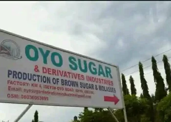 Oyo Sugar Factory Begins Test-Running After Decade of Development