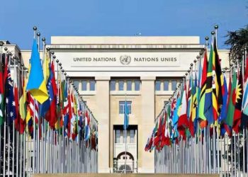 UN Report Praises Nigeria’s Off-Grid Solar Expansion, 5,000 Green Jobs