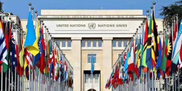 UN Report Praises Nigeria’s Off-Grid Solar Expansion, 5,000 Green Jobs