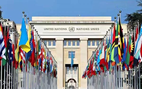 UN Report Praises Nigeria’s Off-Grid Solar Expansion, 5,000 Green Jobs