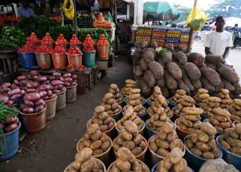Nigeria’s Imported Food Price Growth Slows to 9.19% in September