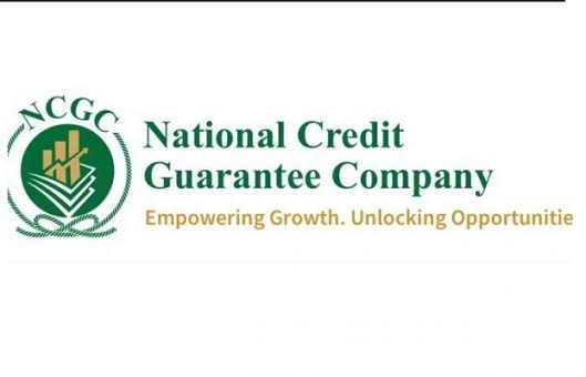 NCGC Backs ₦64.13bn Loans for 174,495 Borrowers