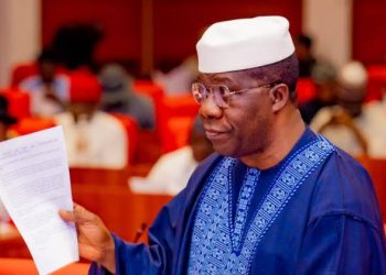Nigerian Lawmakers Target December 2026 for Final Approval of State Police Reform