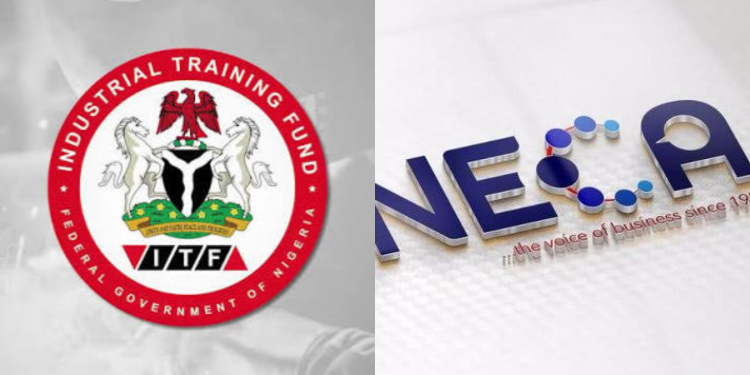 ITF, NECA Seek More Funding for Technical Skills Training as 90% of Graduates Find Jobs