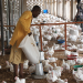 Poultry Farmers Face Rising Costs as Feed Takes 75% of Production Expenses